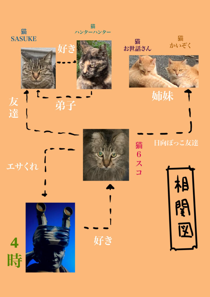 猫に引っ掻かれた時の手順 / 雑記ブログ・手順の音